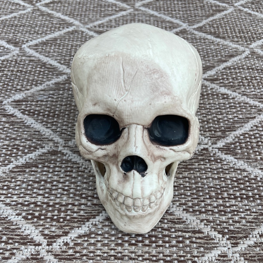 Skull Halloween fall decoration prop